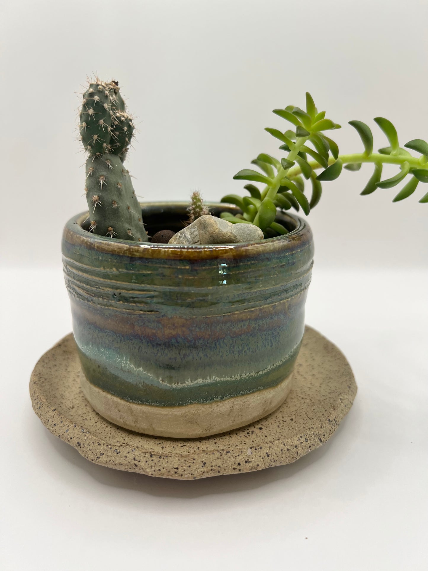 Planter with tray