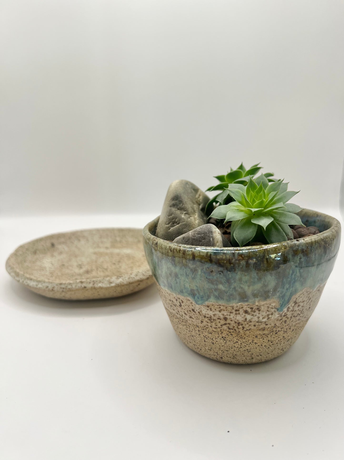 Planter with tray