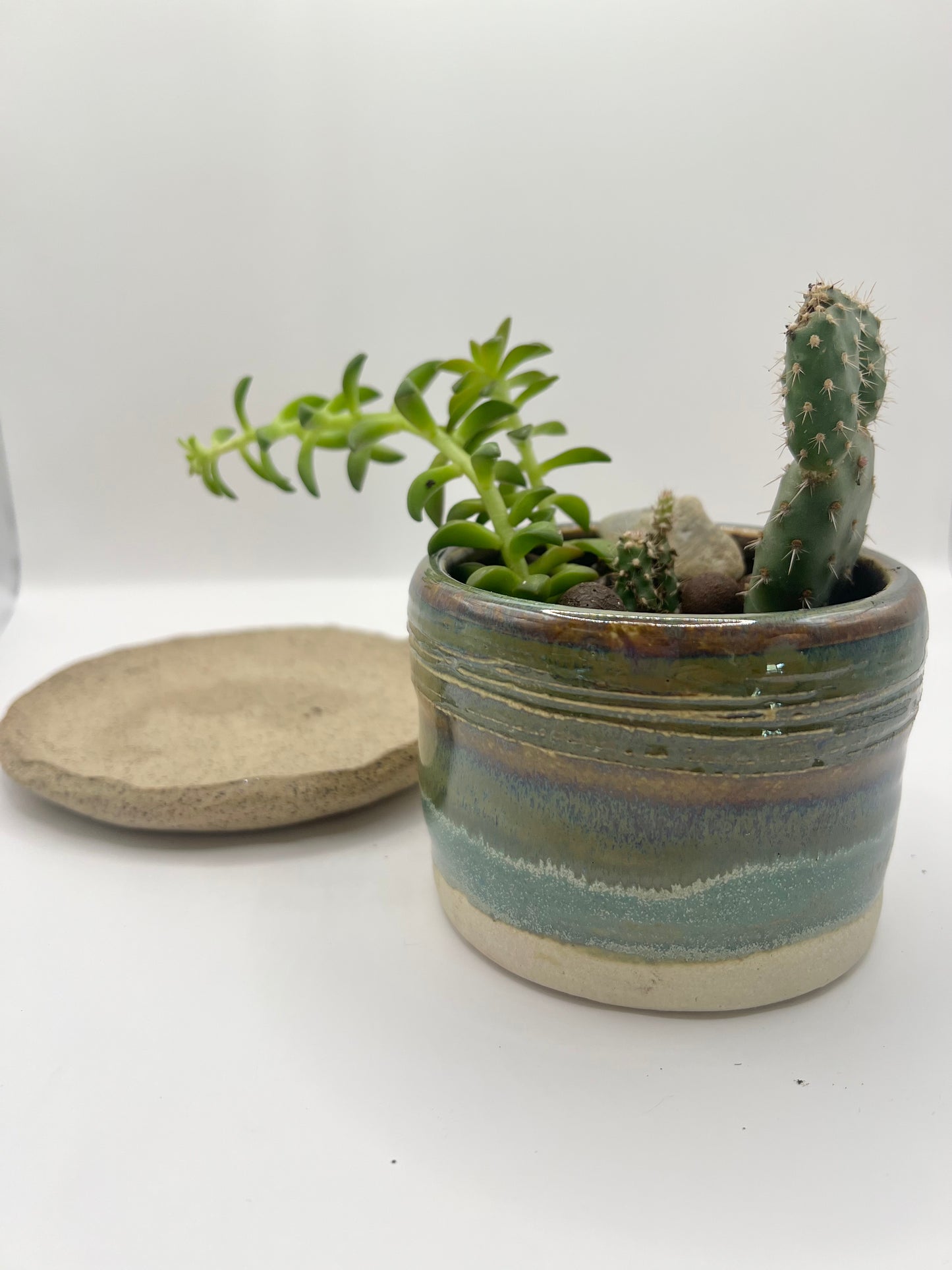 Planter with tray