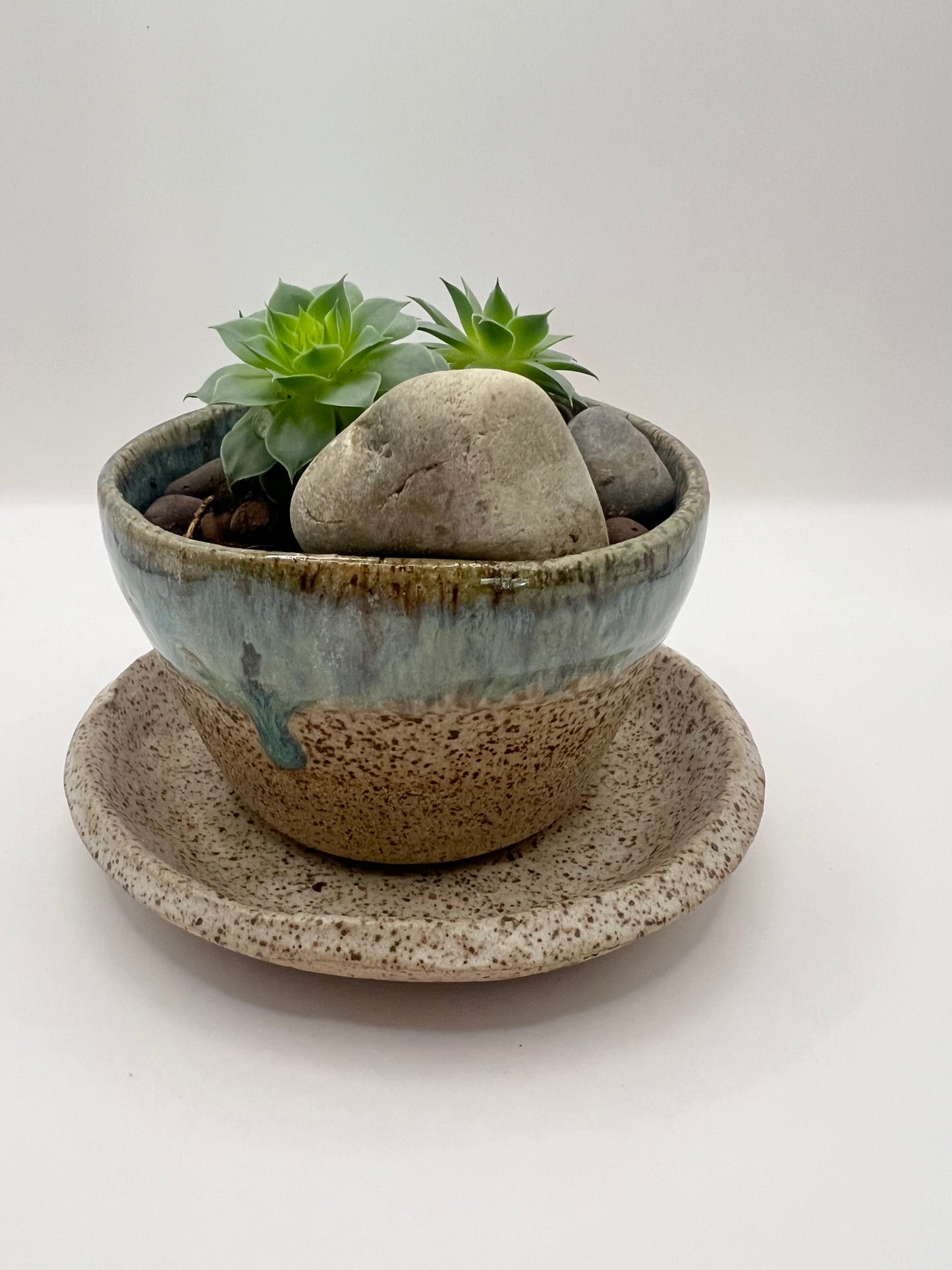 Planter with tray