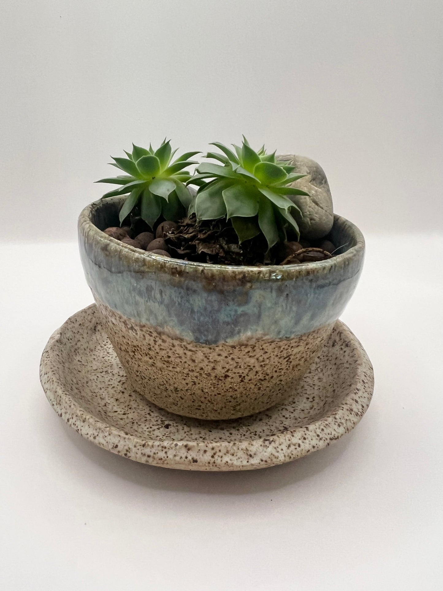 Planter with tray